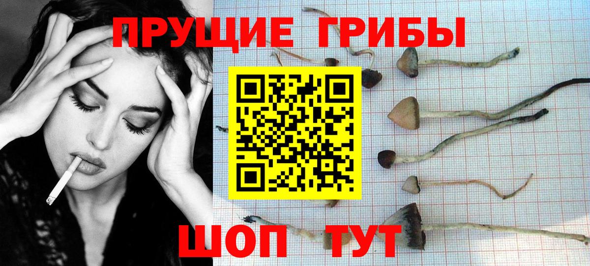 Галлюциногенные грибы Cubensis  наркошоп  Вход с VPN  Усолье-Сибирское  Псилоцибиновые грибы мухоморы 